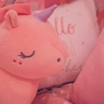 Baas boven baas: van unicorns, decacorns, hectocorns en super-unicorns